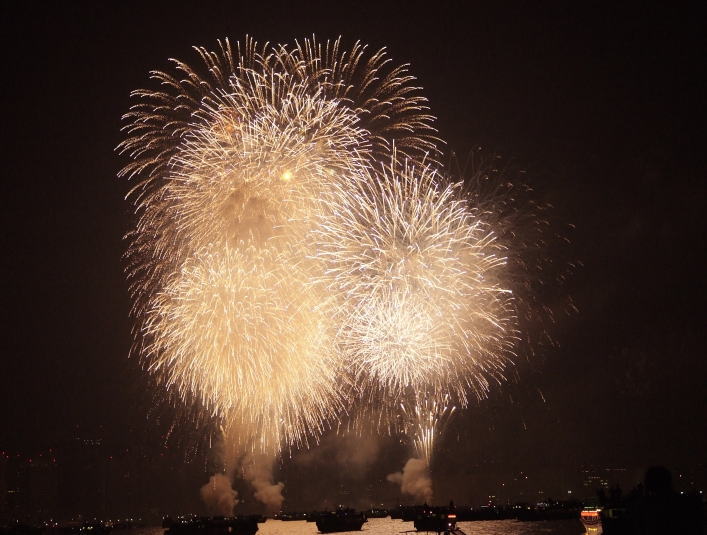 東京湾大華火祭の大輪の花火